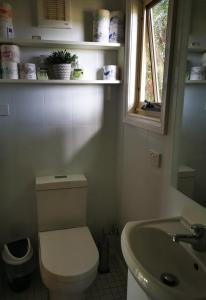 La salle de bains est pourvue de toilettes, d'un lavabo et d'une fenêtre. dans l'établissement Peaceful cabin in a rural setting 2km from CBD, à Tamworth