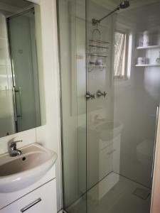 La salle de bains est pourvue d'un lavabo et d'une douche en verre. dans l'établissement Peaceful cabin in a rural setting 2km from CBD, à Tamworth