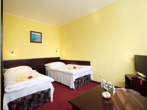 pokój hotelowy z dwoma łóżkami i telewizorem w obiekcie Hotel Milan Vopicka w mieście Hluboká nad Vltavou +25 zdjęć