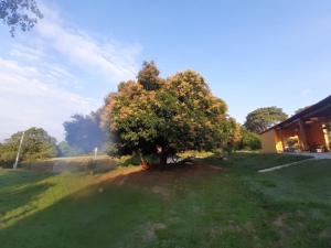 Naturlandschaft in der Nähe der Zelt-Lodge