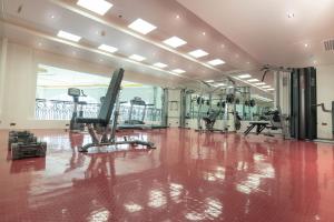 Fitness centrum a/nebo fitness zařízení v ubytování The Monarch Hotel