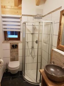 a bathroom with a shower and a sink at Chalet Steinplatte in Reit im Winkl