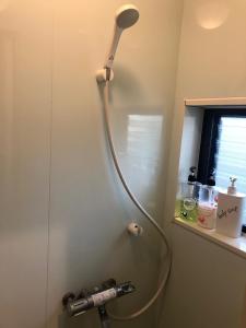 Guest house Fukui tesisinde bir banyo