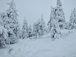Obiekt Lesne Domki zimą