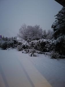 um quintal coberto de neve com árvores e arbustos em Le domaine des 3 marmottes Chambres d' hôtes em Cierp