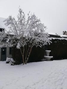 a tree in a yard covered in snow at Le domaine des 3 marmottes Chambres d' hôtes in Cierp