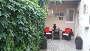 una gran pared de hiedra verde con sillas y una mesa en City Apartman, en Pécs