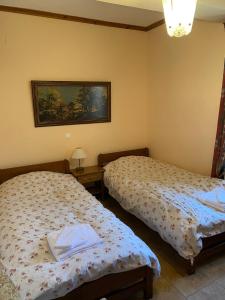 1 dormitorio con 2 camas y una foto en la pared en Comfortable Apartment in Village Saint Minas, en Ágios Minás