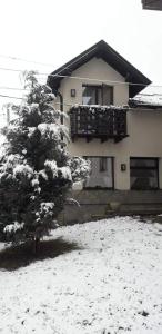 a snow covered tree in front of a house at Black Valley House in Gura Humorului