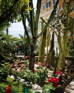 a garden with cacti and flowers in front of a building at Hotel Villa Sophia in Sanremo