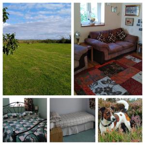 a collage of pictures of a living room with a dog at Little Owls Nest Holiday Home in Wisbech