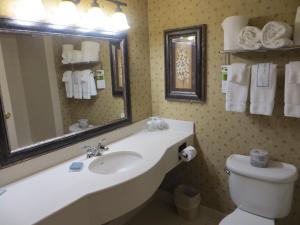 a bathroom with a sink and a mirror and a toilet at Wingate by Wyndham in Peoria