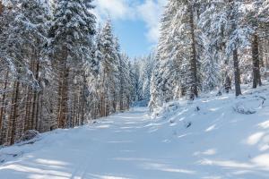 Almbauer Morgenbesser durante l'inverno