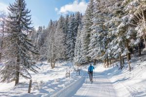 Almbauer Morgenbesser durante l'inverno