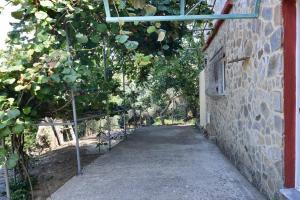 Kép Villa Areti - A Cottage in the Cretan Nature szállásáról Kándanoszban a galériában