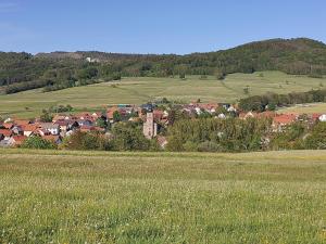 Příroda nedaleko apartmánu
