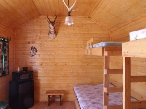 eine Blockhütte mit einem Etagenbett in einem Zimmer in der Unterkunft Antler Motel in Greybull