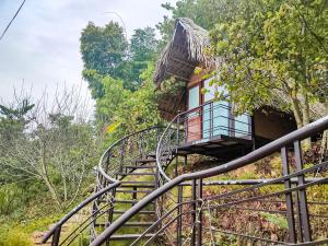 Zahrada ubytování Flourish Homestay + 37 fotografií
