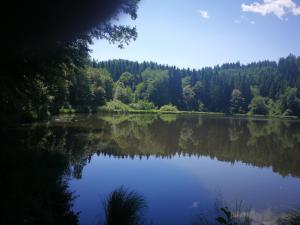 Pokrajina v okolici apartmaja