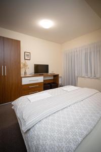 Dormitorio con cama, escritorio y TV en Penzion Hastrman, en Banská Bystrica