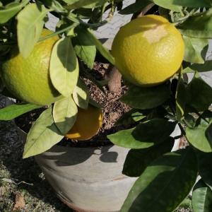 Fotografie z fotogalerie ubytování Agriturismo Nuvolino v destinaci Monzambano