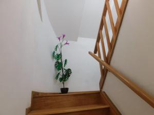 Fotografia z galérie ubytovania Shoofeet apartment Split one step away from the main promenade v Splite