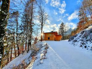 Το Das Haus Steger zu Stein τον χειμώνα