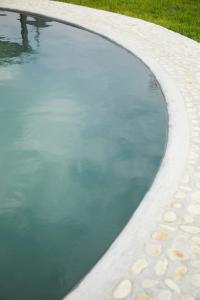 a pool of water with rocks in it at The Farmstead in Franschhoek