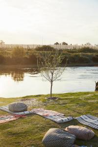 a group of blankets on the grass near a body of water at The Farmstead in Franschhoek