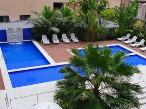 a swimming pool with lounge chairs and a palm tree at Flat Capitania em Pitangueiras perto da praia in Guarujá