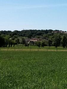 een grasveld met huizen op de achtergrond bij Agriturismo Nuvolino in Monzambano
