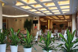 Gallery image of GreenTree Inn Guangdong Shantou Chengjiang Road Business Hotel in Shantou