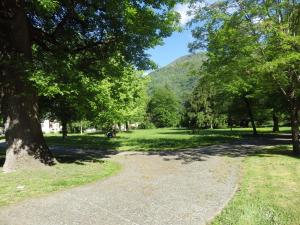 un sentiero in un parco con alberi e una montagna di Appartement Les Jardins de Ramel 2 a Luchon