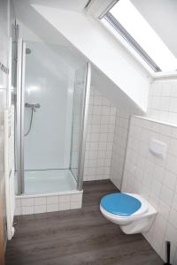 a bathroom with a shower and a toilet with a window at Hostel Alex 30 in Stuttgart