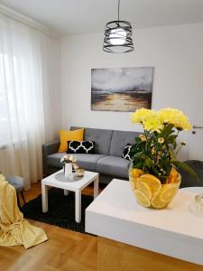 Predel za sedenje v nastanitvi Apartman Mia