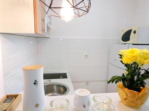 Kuhinja oz. manjša kuhinja v nastanitvi Apartman Mia