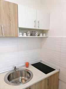 Kuhinja oz. manjša kuhinja v nastanitvi Apartman Mia