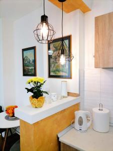 a kitchen with a counter with a vase of flowers at Apartman Mia in Sremska Mitrovica