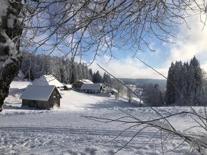 フルトヴァンゲンにあるHöhengasthaus Kolmenhof an der Donauquelleの遠くの家が並ぶ雪原
