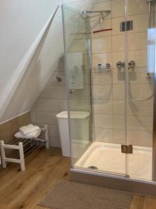 a shower with a glass enclosure in a bathroom at Wohnen auf Zeit in Weingarten in Weingarten