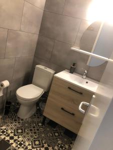 a bathroom with a toilet and a sink and a mirror at Le Gîte du Jard in Épernay