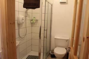 a bathroom with a toilet and a shower at The Stable Self Catering Cottage @ Cappa House BnB in Eyeries