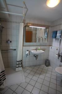 a bathroom with a shower and a sink at Haflingerhof Galster in Markt Taschendorf