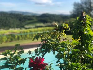 Imagem da galeria de Villa Il Leccio em Strada