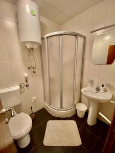 Koupelna v ubytování Apartmani Vila Goč + 24 fotografií