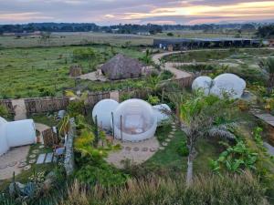 an aerial view of a garden with domes at Green Land Bubble Glamping in Cabarete