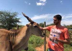 Animales en el tented camp o alrededores