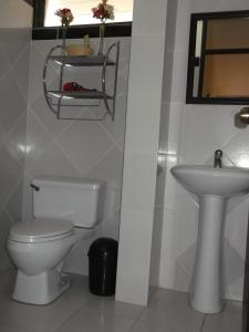 La salle de bains est pourvue de toilettes et d'un lavabo. dans l'établissement La Posada del Conde Lodge, à Cabanaconde