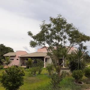 a house with a tree in front of it at Pousada Terra de Minas in Sacada