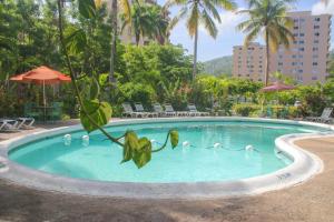 a swimming pool with swans in the water at Fisherman Point Beach Resort in Ocho Rios